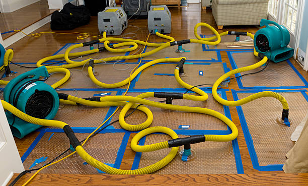 Professional Basement Flood Cleanup technician working in Mansfield, WA